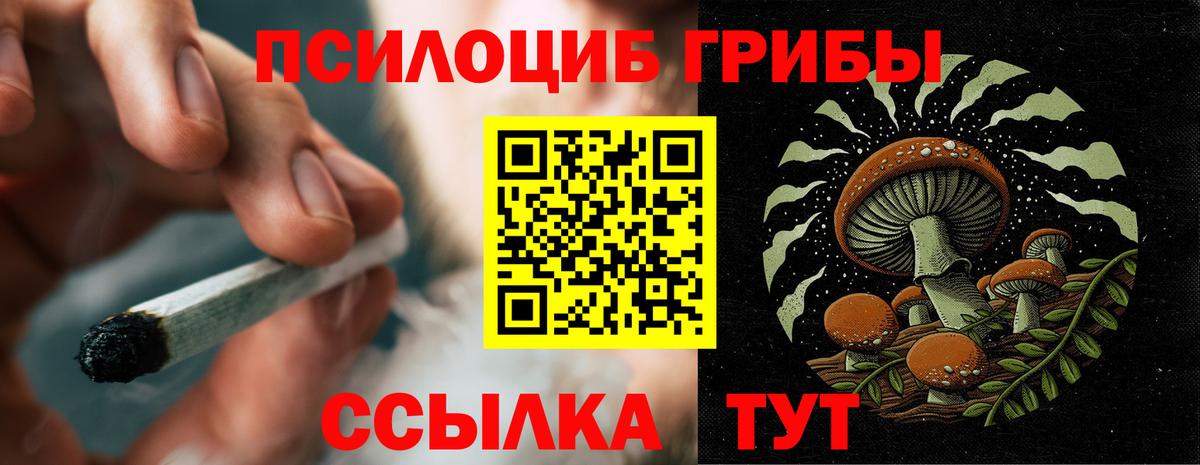 Галлюциногенные грибы MAGIC MUSHROOMS  Вход с VPN  Томск  Псилоцибиновые грибы Magic Shrooms 